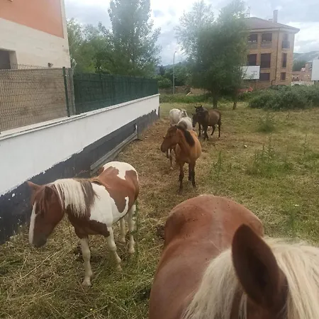 Fiordos Leoneses 博尼亚尔