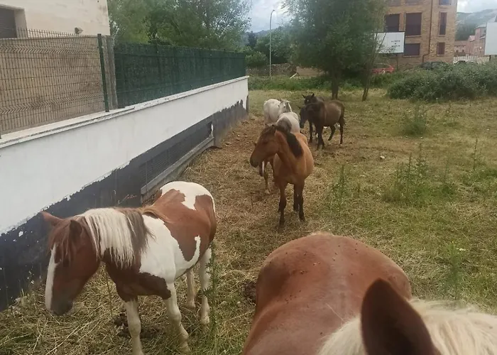 Fiordos Leoneses Bonar